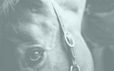 Lessons We’ve Learned Advertising Ketamine Treatment for MD’s Across the US