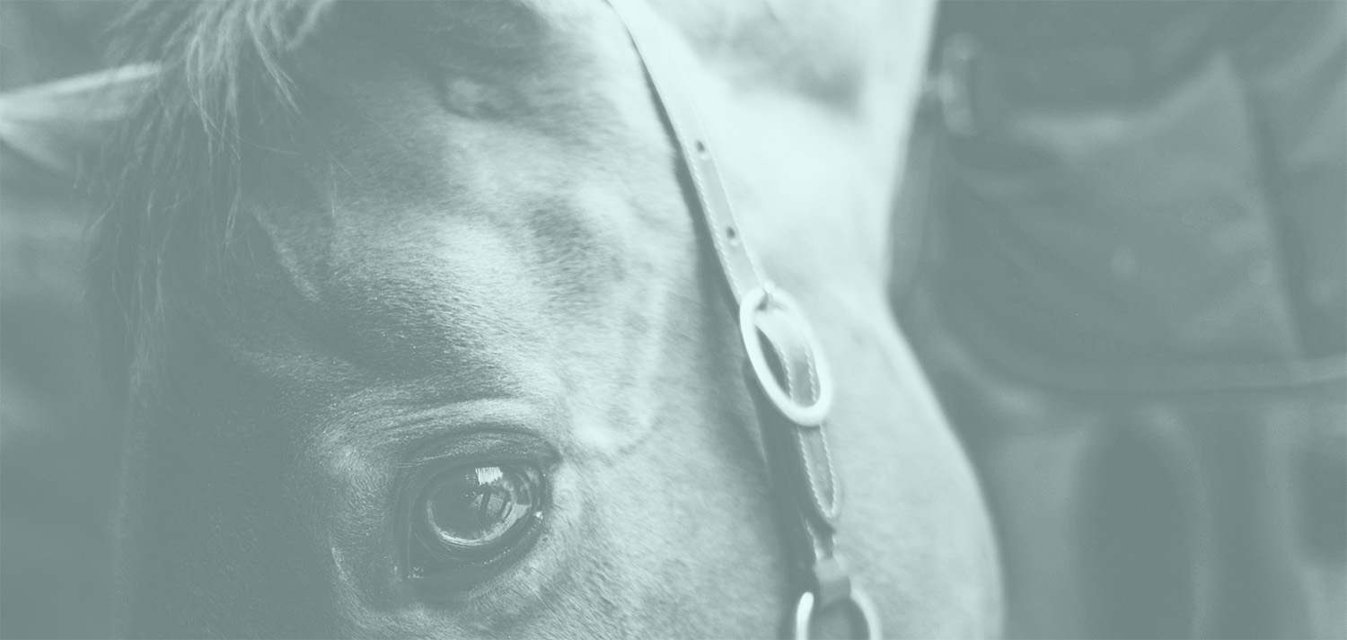 Lessons We’ve Learned Advertising Ketamine Treatment for MD’s Across the US
