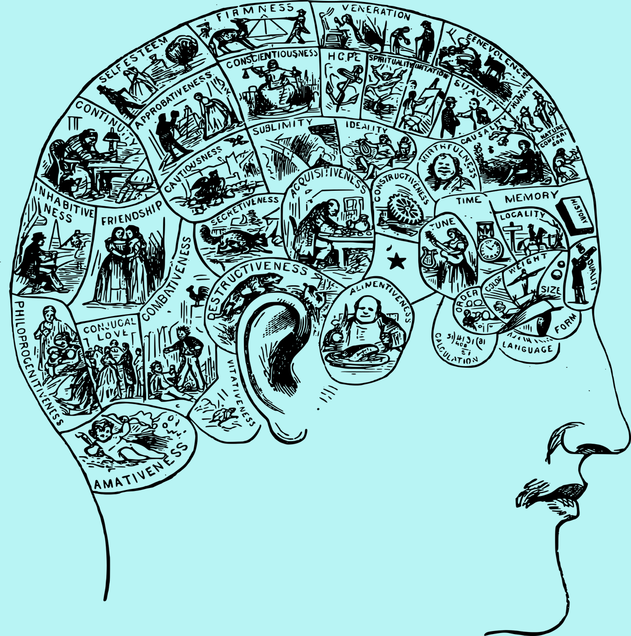 Why TMS is Such a Great Service for Mental Healthcare Providers to Offer