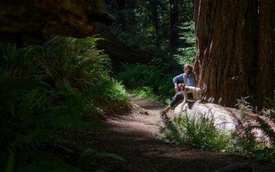 Functional Medicine Marketing: How Modern Clinics Grow Patient Volume in 2026