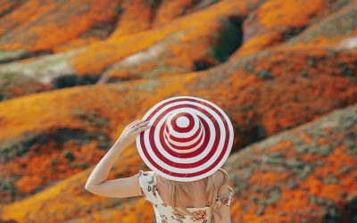 Case Study: ROI of a $150,000 Annual Ad Budget in California