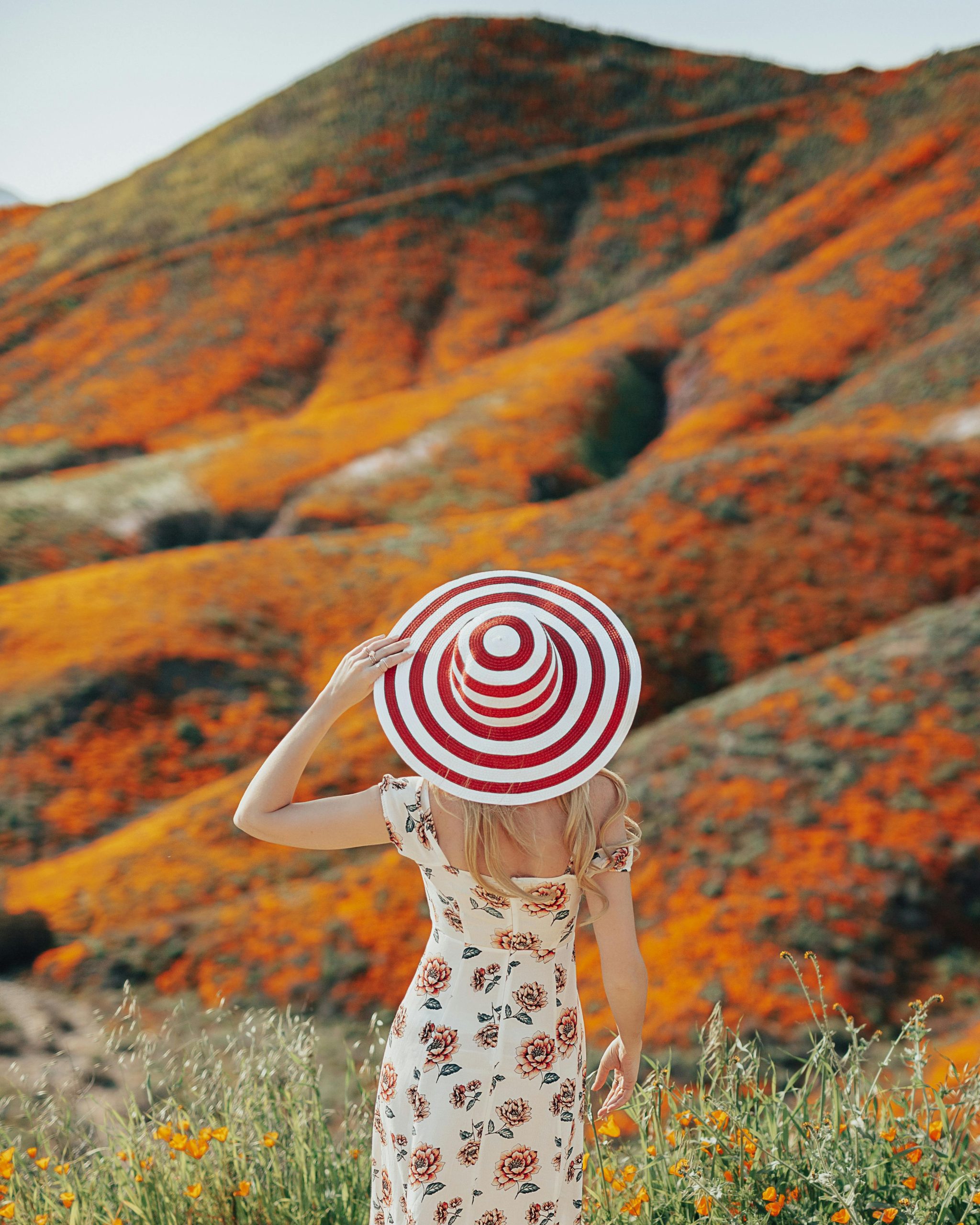 Scaling a Multi-Location Mental Health & Functional Medicine Practice with Intent-Driven Advertising